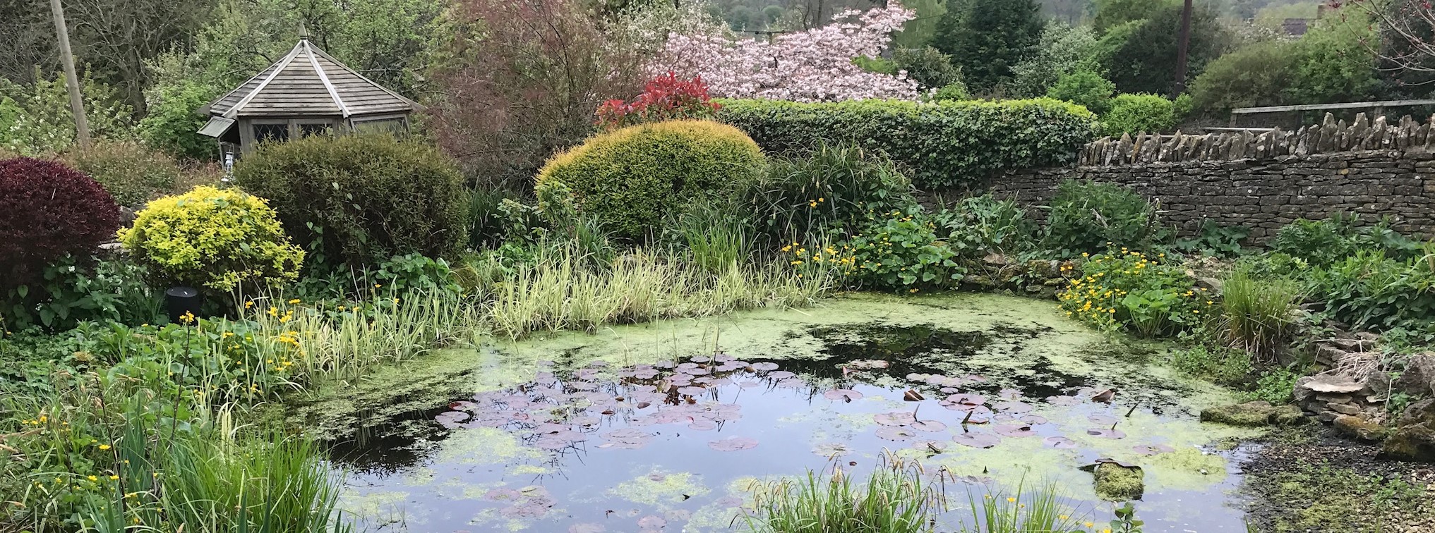 pond-cleaning-oxfordshire