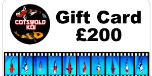 Discontinued products