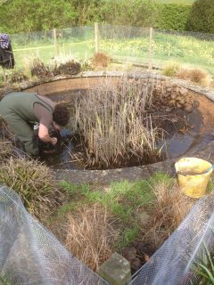 pond-cleaning-asscot-oxfordshire-1
