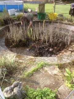 pond-cleaning-asscot-oxfordshire-2