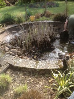 pond-cleaning-asscot-oxfordshire-3