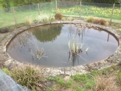 pond-cleaning-asscot-oxfordshire-5