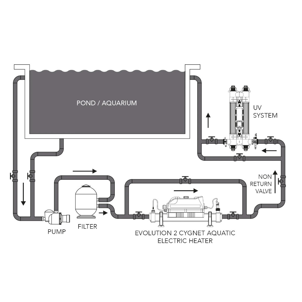Evolution-2-Cygnet-Schematics
