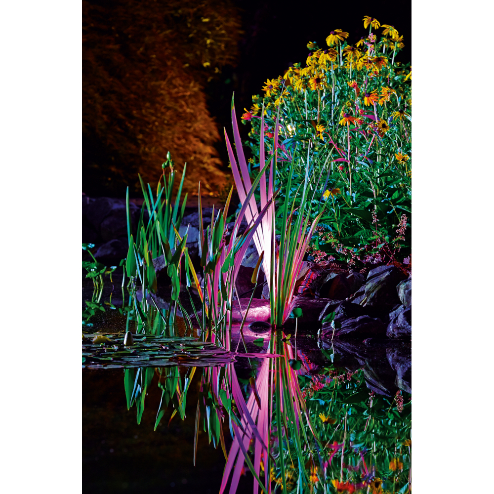 ProfiLux Garden LED RGB