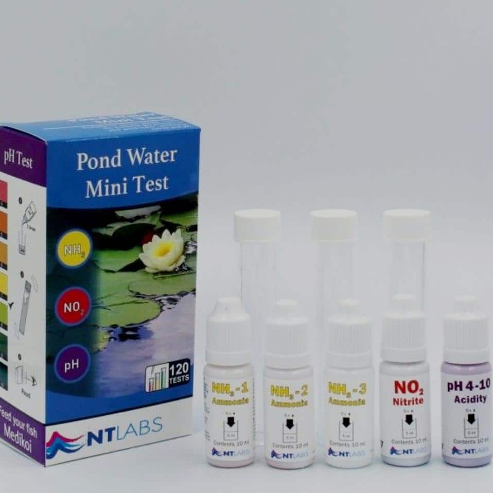 thumbnail (36) Cotswold Koi