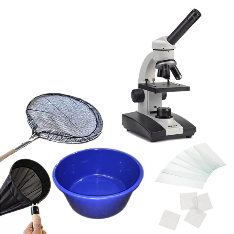 Glass Slides Cotswold Koi microscopes Koi care