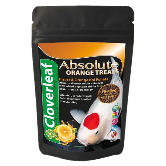 CloverleafAbsoluteInsect_OrangeKoi CloverleafAbsoluteInsect_OrangeKoi