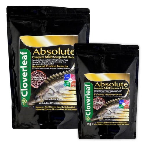 Cloverleaf Sturgeon Sterlet Food Cloverleaf Sturgeon Sterlet Food