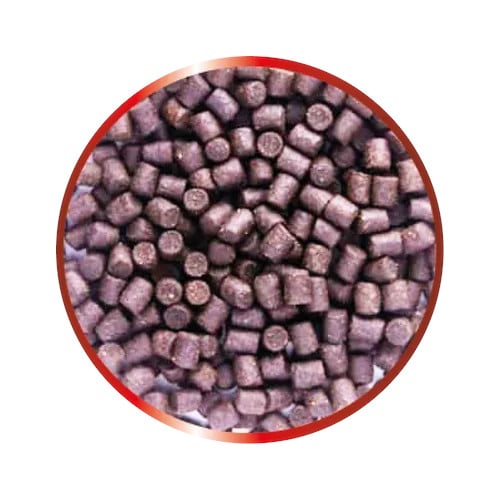 Cloverleaf Sturgeon Sterlet Food sample Cloverleaf Sturgeon Sterlet Food sample