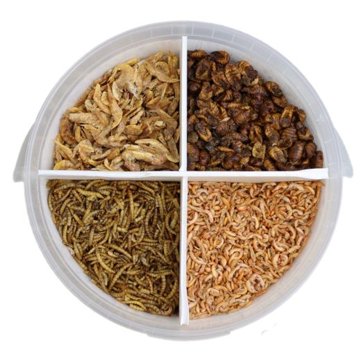 EA Koi Food Cotswold Koi