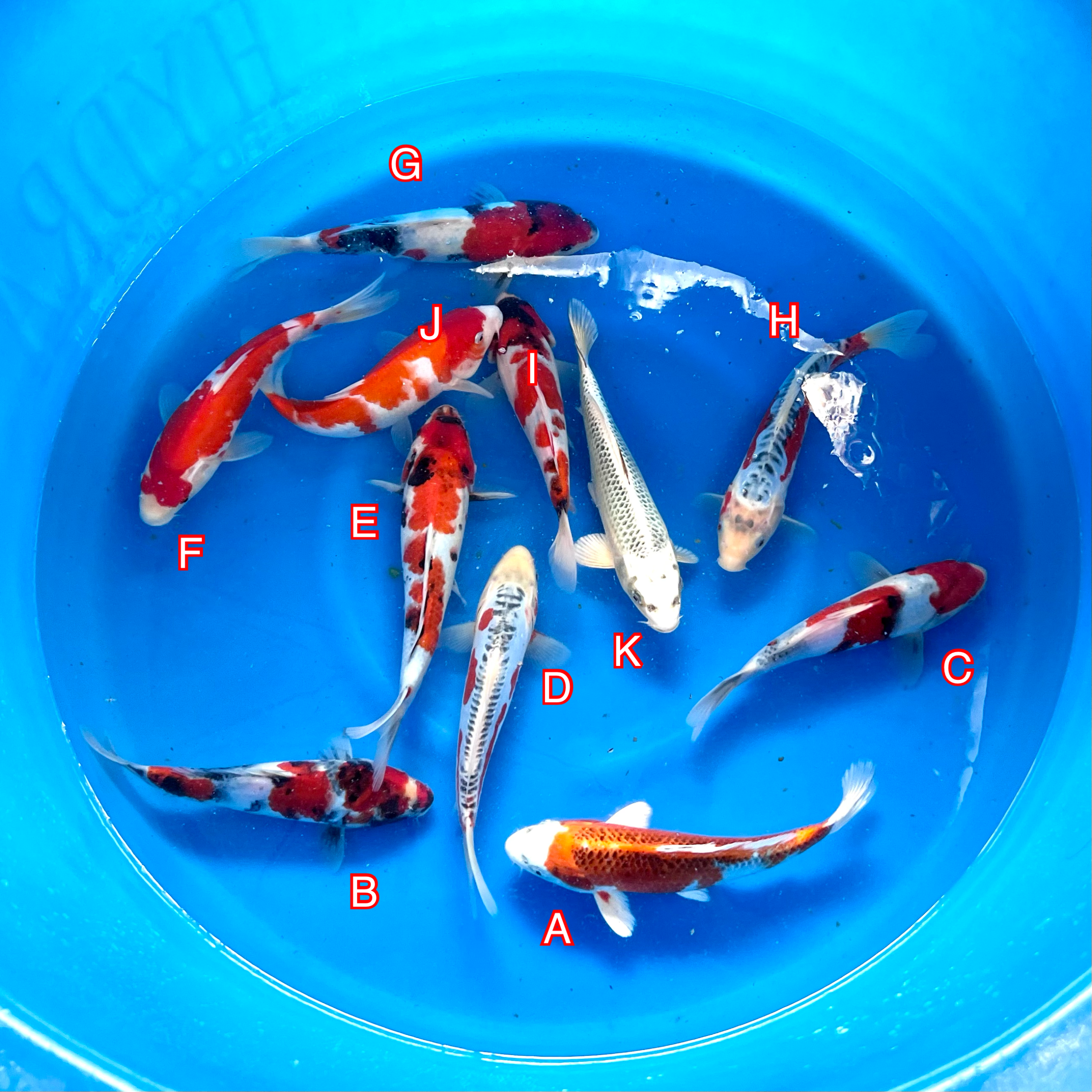 You_Doodle_2024-02-27T07_43_16Z You_Doodle_2024-02-27T07_43_16Z