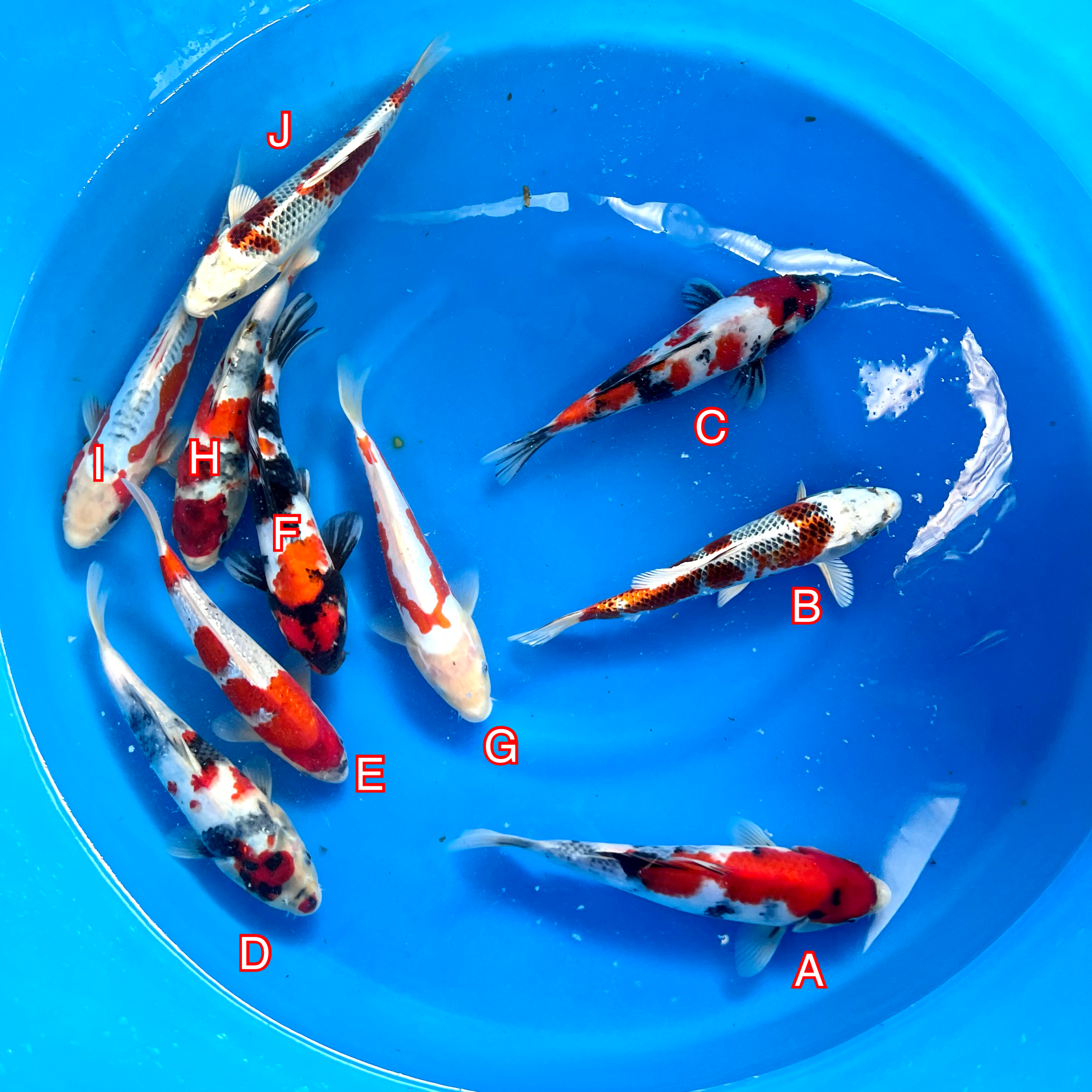 You_Doodle_2024-02-27T08_18_12Z