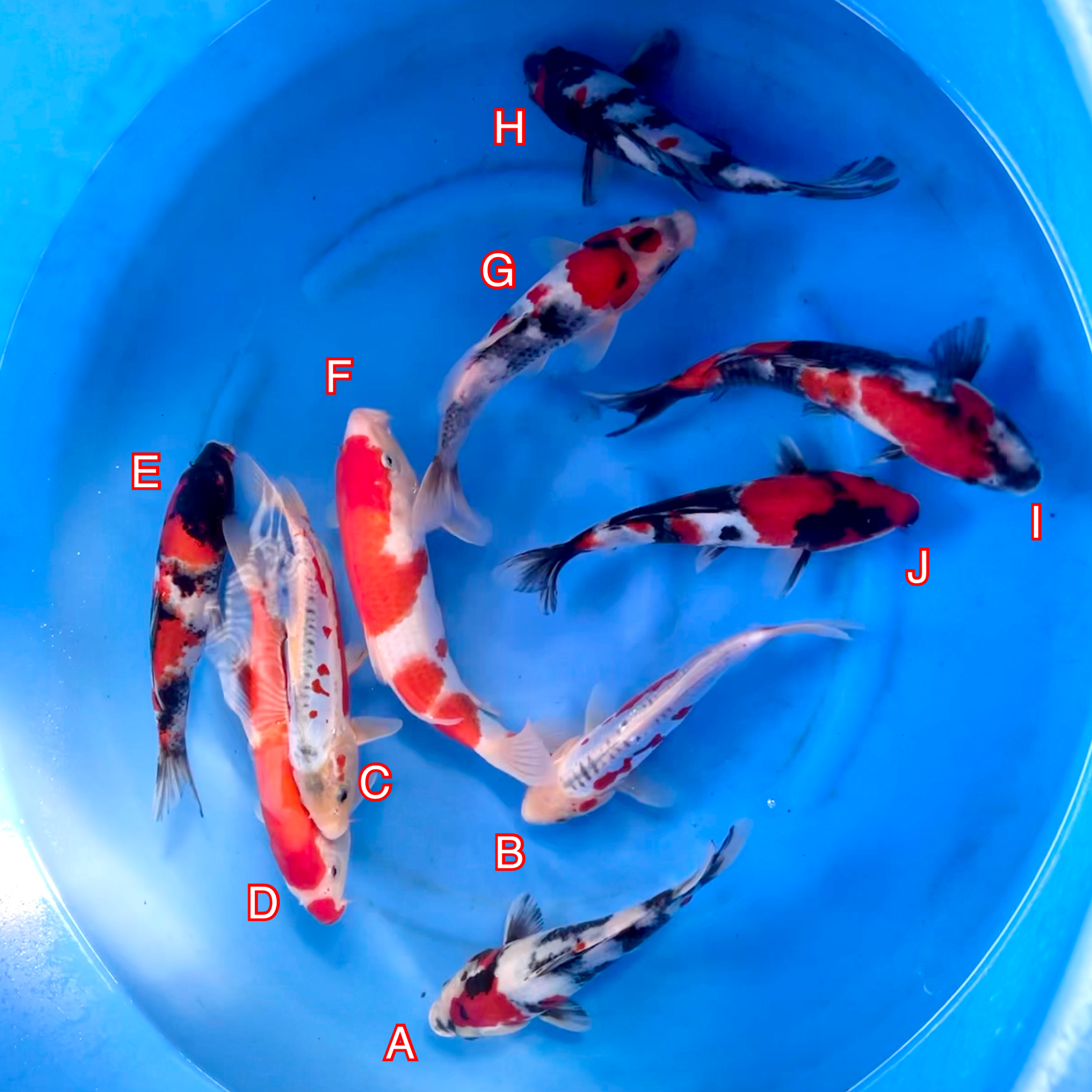 You_Doodle_2024-02-29T07_40_47Z You_Doodle_2024-02-29T07_40_47Z