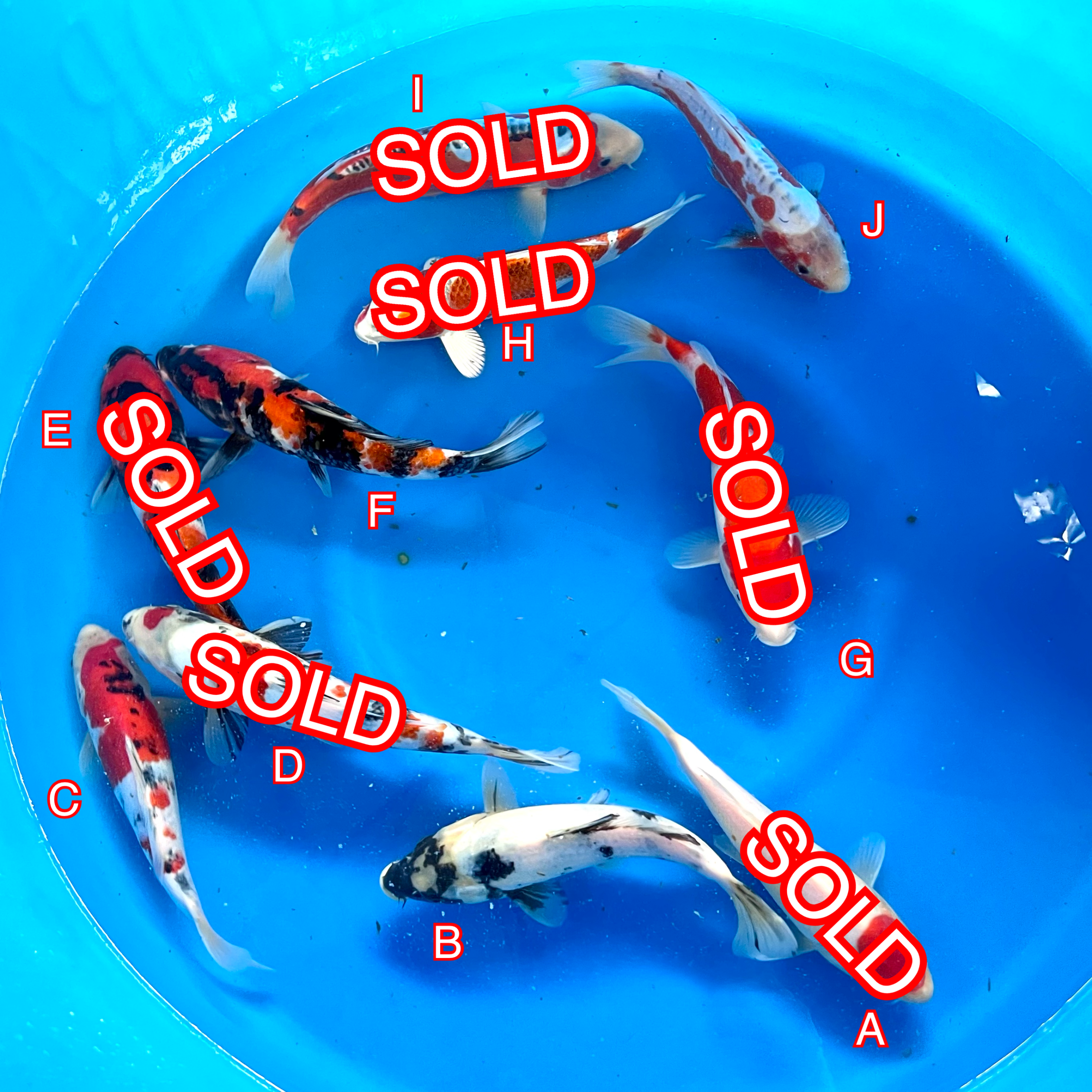 You_Doodle_2024-03-25T15_41_54Z You_Doodle_2024-03-25T15_41_54Z