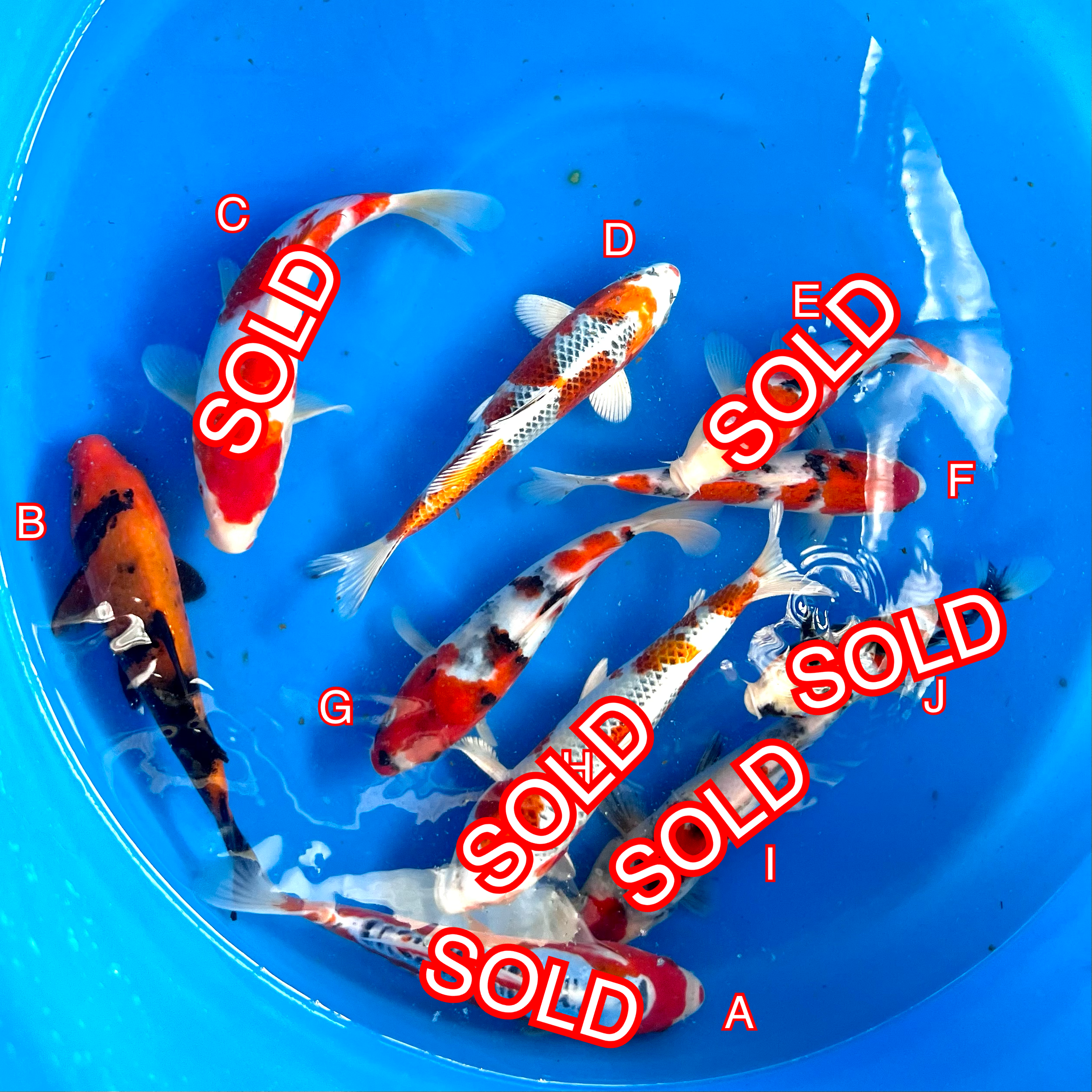 You_Doodle_2024-04-09T12_34_21Z You_Doodle_2024-04-09T12_34_21Z