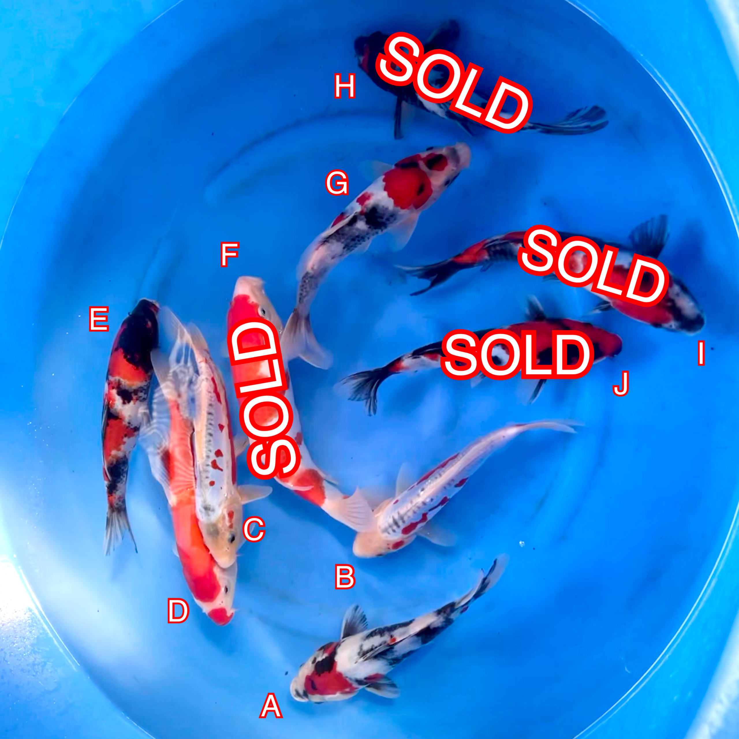 You_Doodle_2024-04-09T15_06_45Z You_Doodle_2024-04-09T15_06_45Z