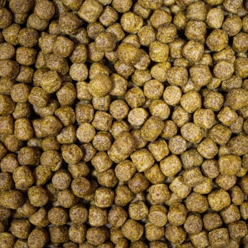 Medikoi Health sample