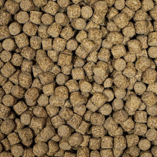 Medikoi Probiotic Growth sample