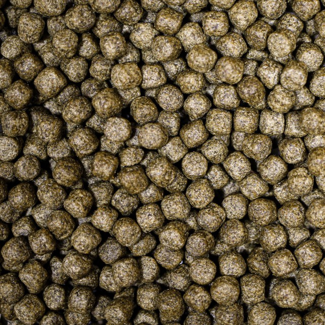 Medikoi Staple with Colour Enhancer sample Medikoi Staple with Colour Enhancer sample