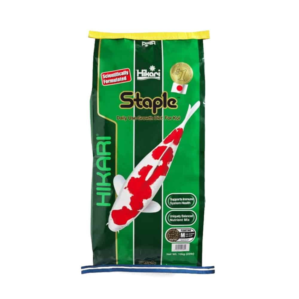 Hikari Staple medium