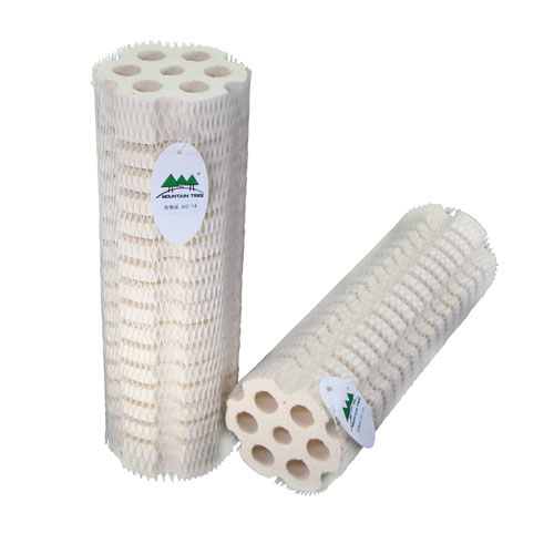 Mountain Tree Bacteria House Generation 3 2 Mountain Tree Bacteria House Generation 3 2