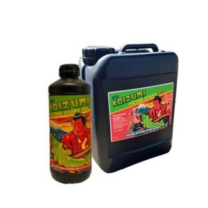 Mr Koizumi – Filter Start