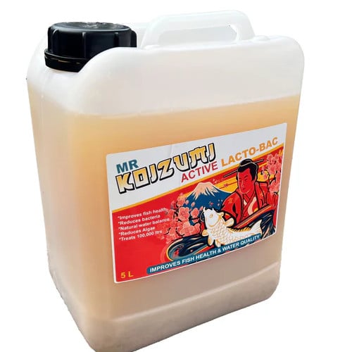 Mr Koizumi – Lactobac 5litre Mr Koizumi – Lactobac 5litre