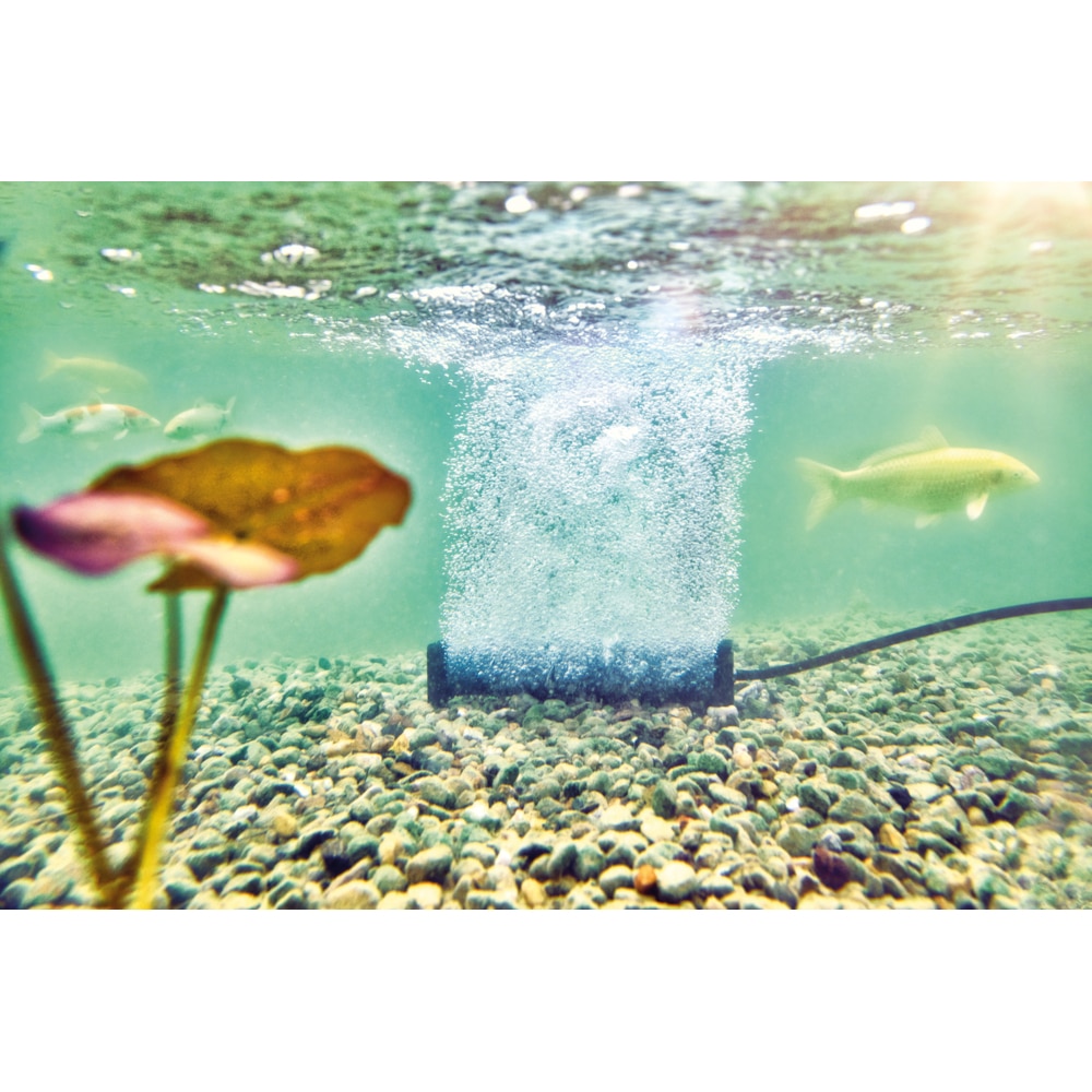 Oase AquaOxy Aerator Bar s 1 Oase AquaOxy Aerator Bar s 1