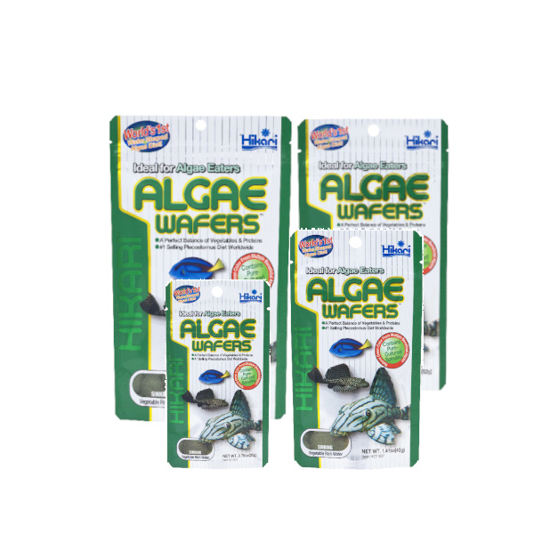 Hikari algae wafers Hikari algae wafers