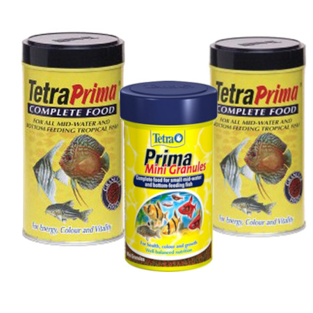 tetra prima tetra prima