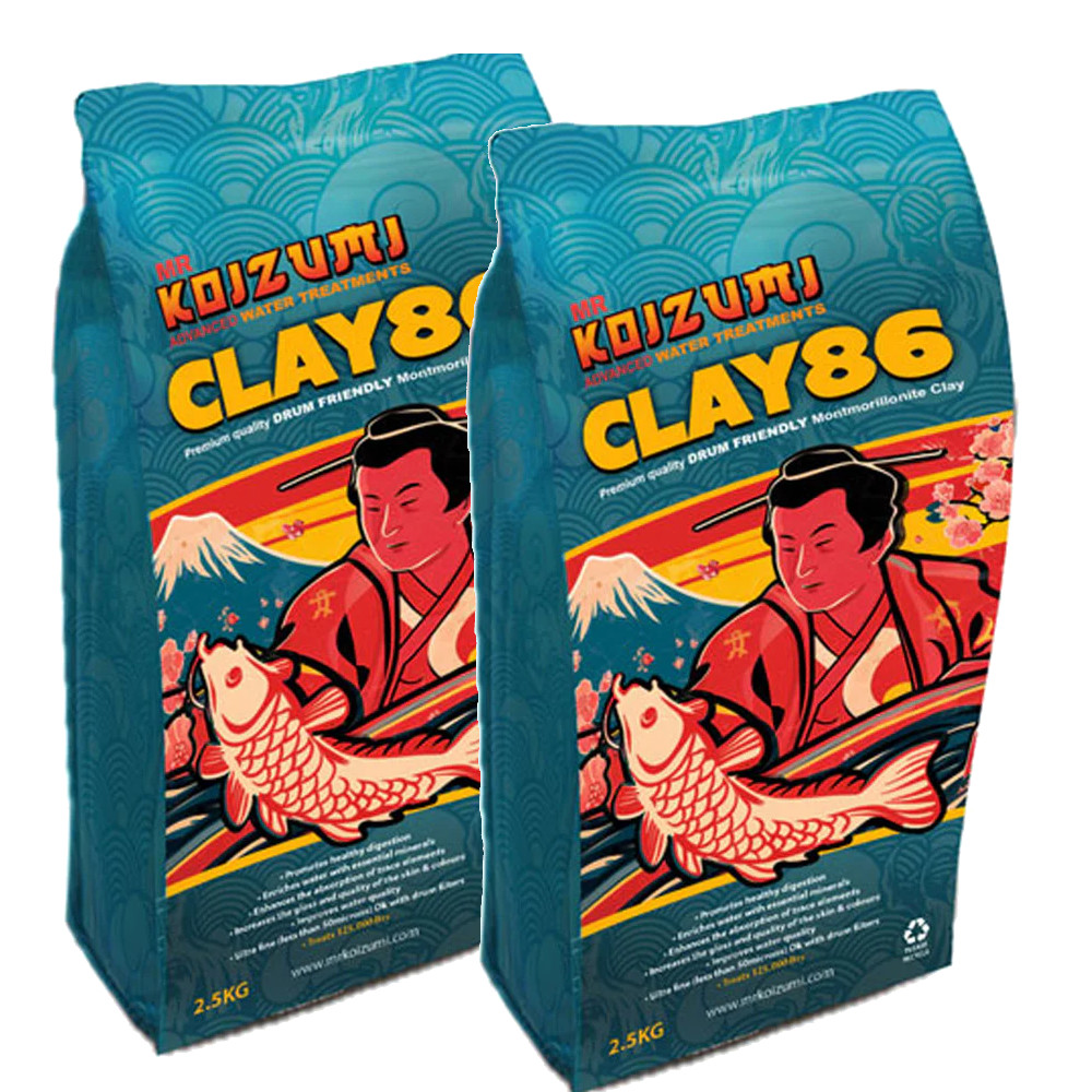 Mr Koizumi Clay 86 Mr Koizumi Clay 86