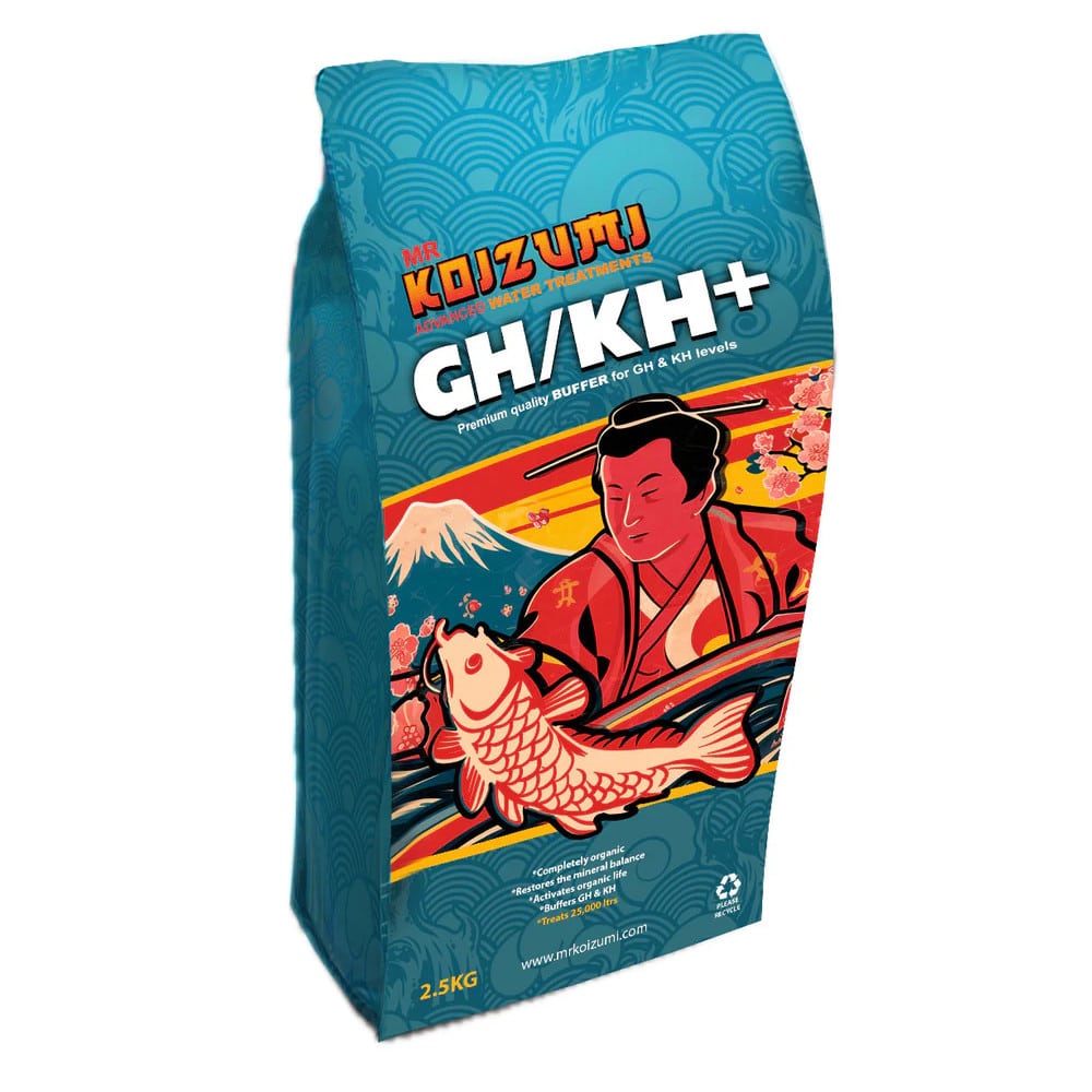 Mr Koizumi GH KH+