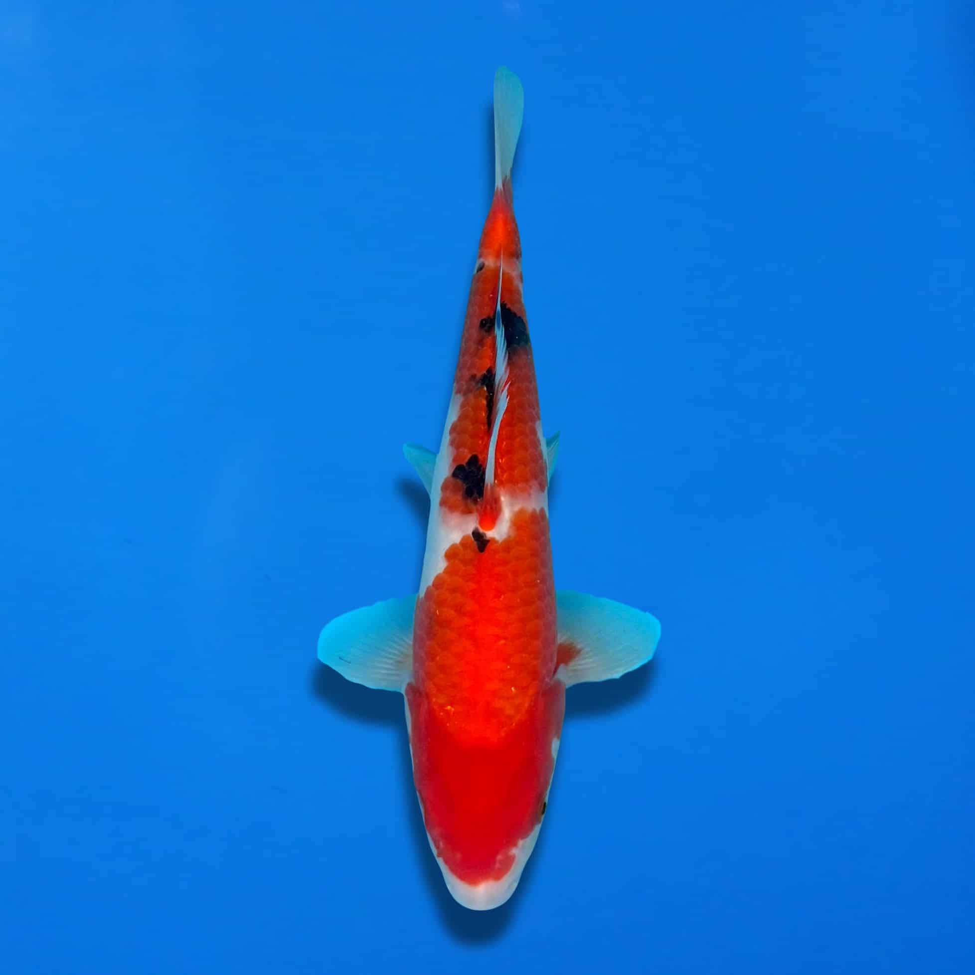 MagicEraser_250629_174128 MagicEraser_250629_174128