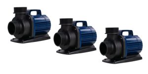 Aquaforte-DM-E-category