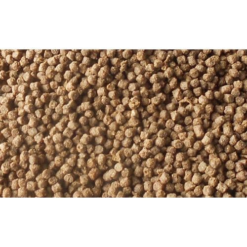 Burtons Health Food sample