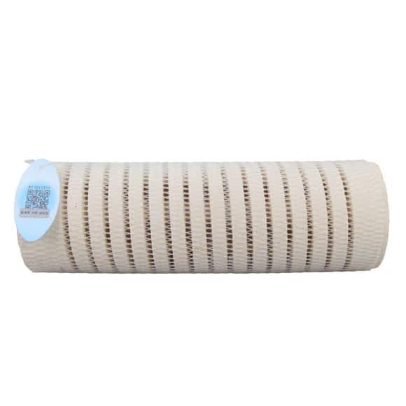 Mountain Tree Bacteria House Generation 2 1