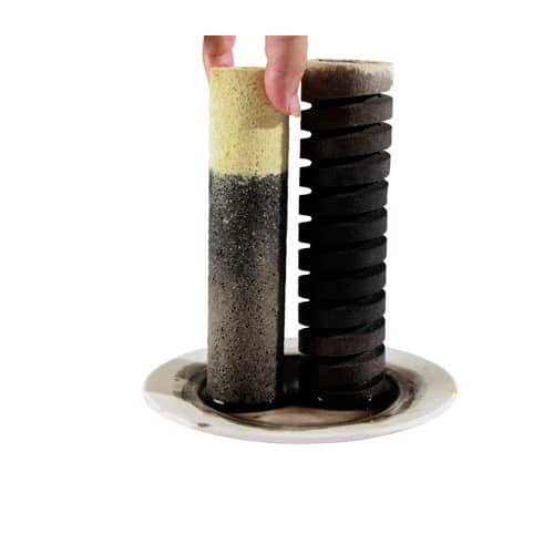 Mountain Tree Bacteria House Generation 2 3