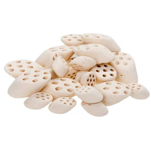 Mountain Tree Fresh Lotus Root Nitro Ring Mountain Tree Fresh Lotus Root Nitro Ring