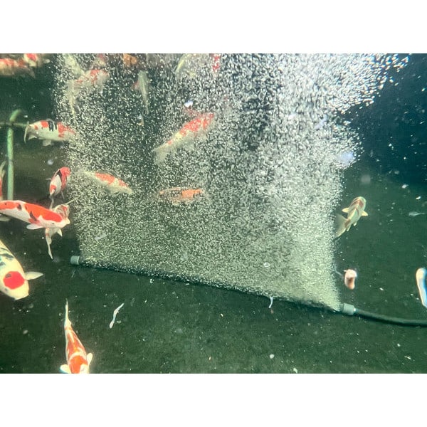 Tornado AirStorm Weighted Bubble Curtains 1