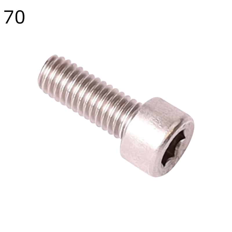 Oase ProfiClear Premium Compact-M Gravity OC Cylinder Screw V2A DIN 912 6 x 16